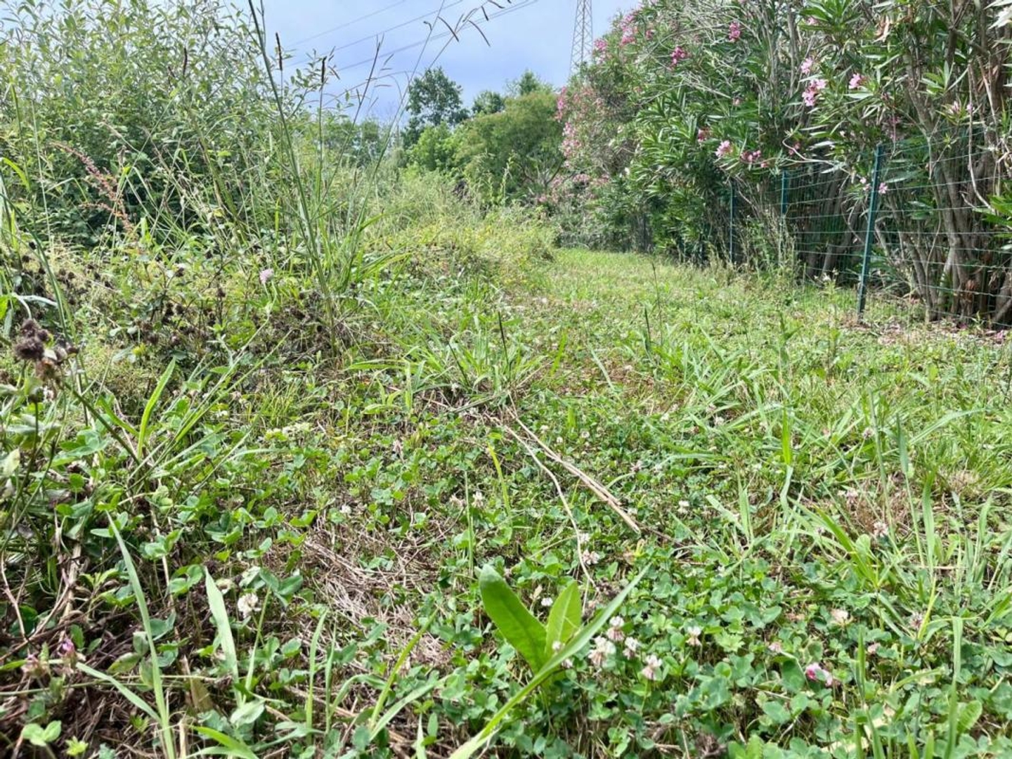 Terrain à vendre - 570m2 - Bidart (64210)