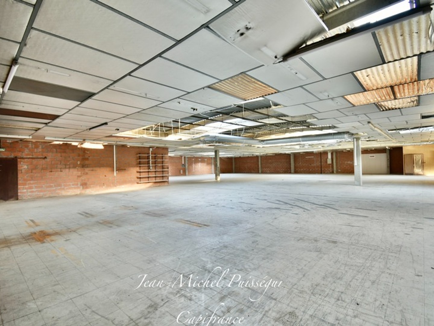 Locaux Professionnels de 2400m2 à vendre SAINT GAUDENS (31), Terrain 3800m2