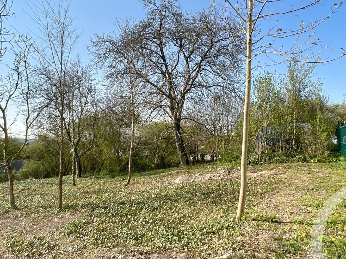 Terrain 1180 m²