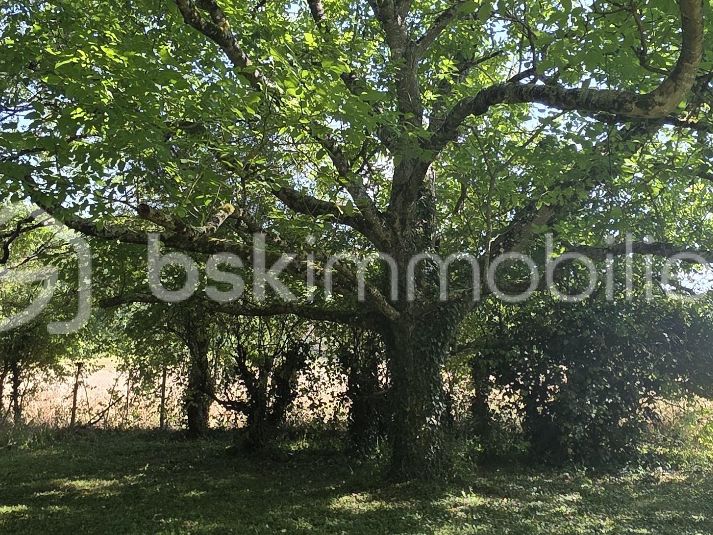 Maison à vendre - 3 pièces - 80m2 - Dordives (45680)