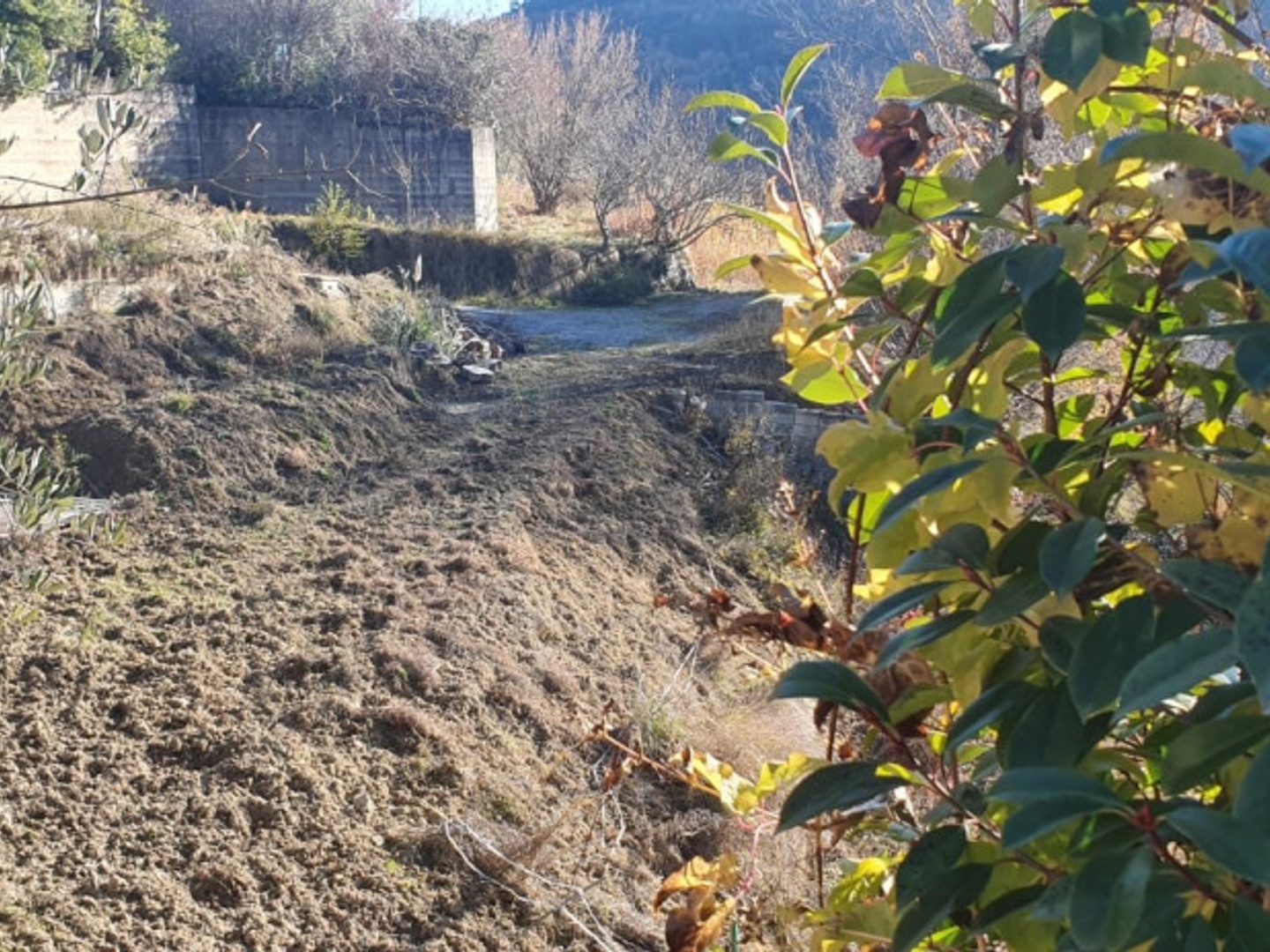Terrain à vendre - 821m2 - Tourrette-Levens (06690)