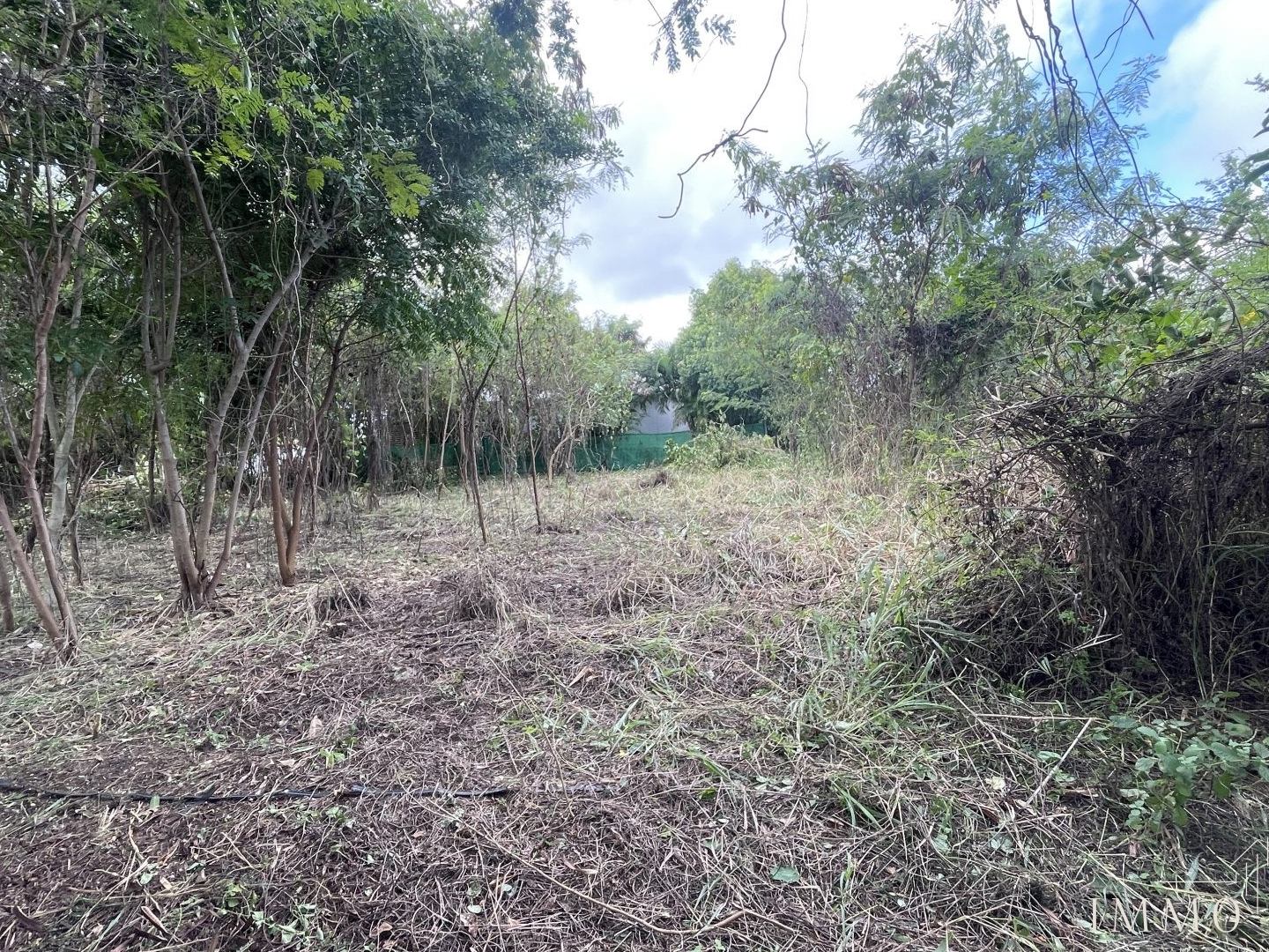 Terrain 1138 m²