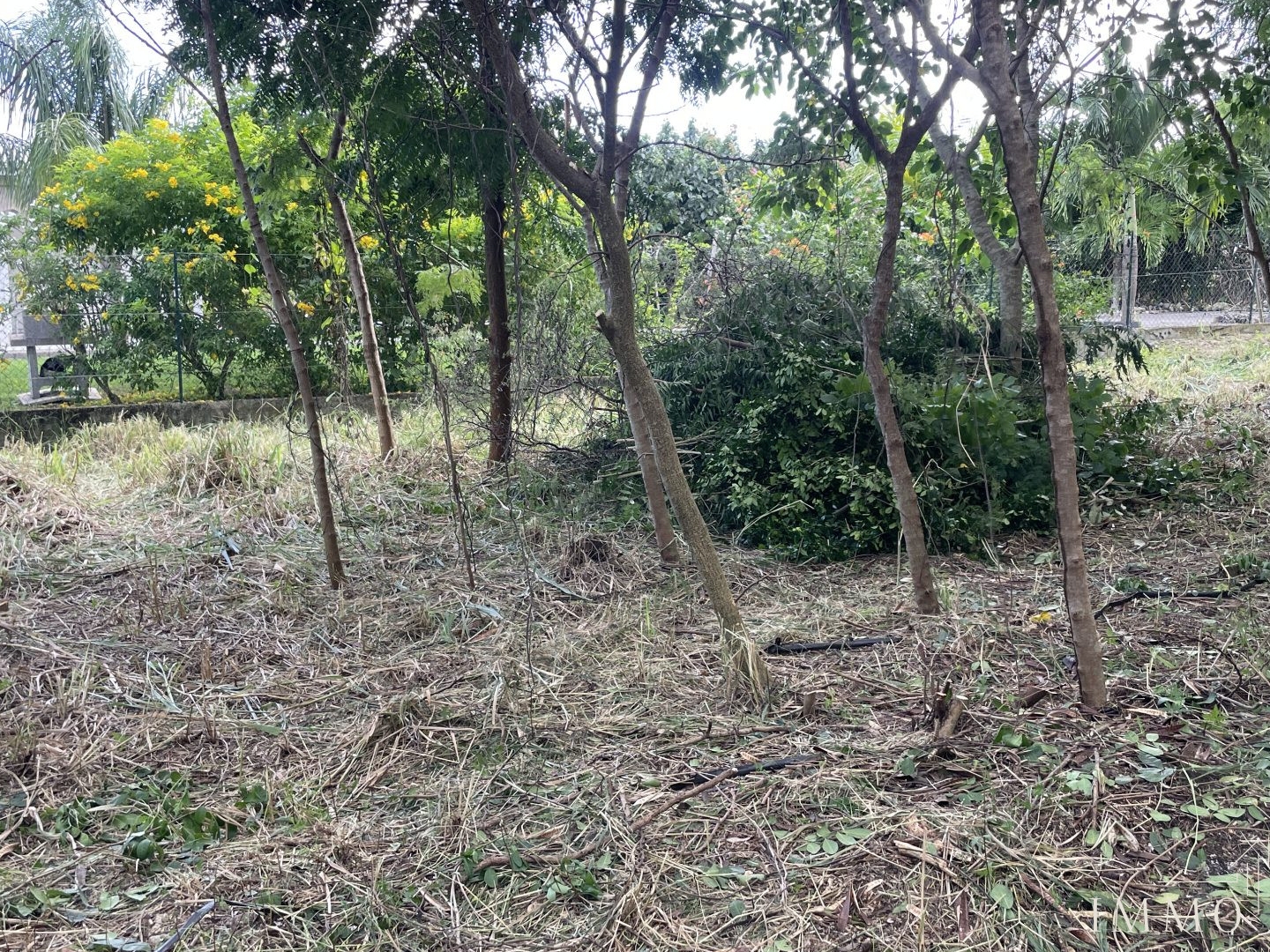 Terrain à vendre - 1138m2 - Saint-François (97118)