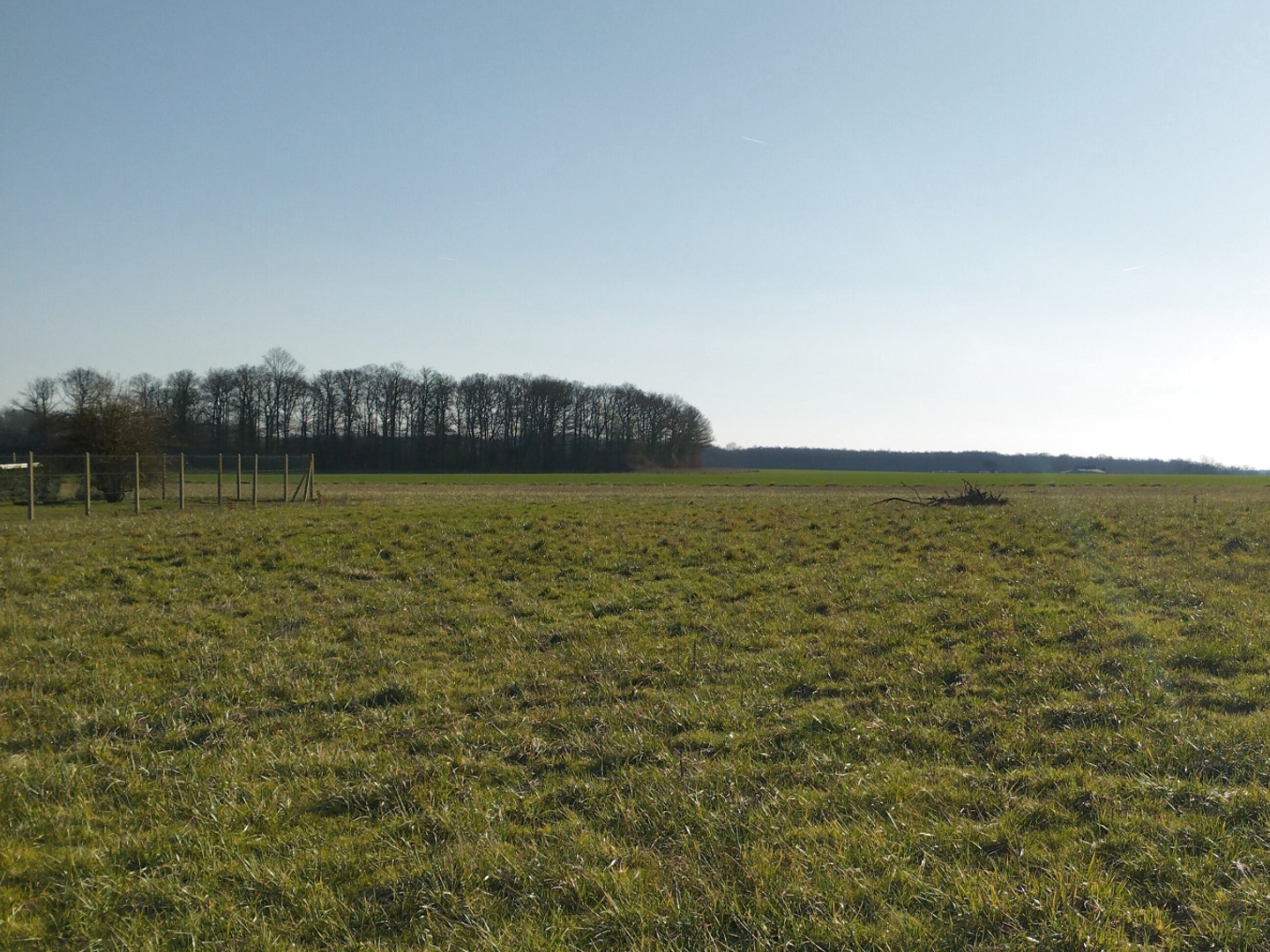 Terrain 1508 m²