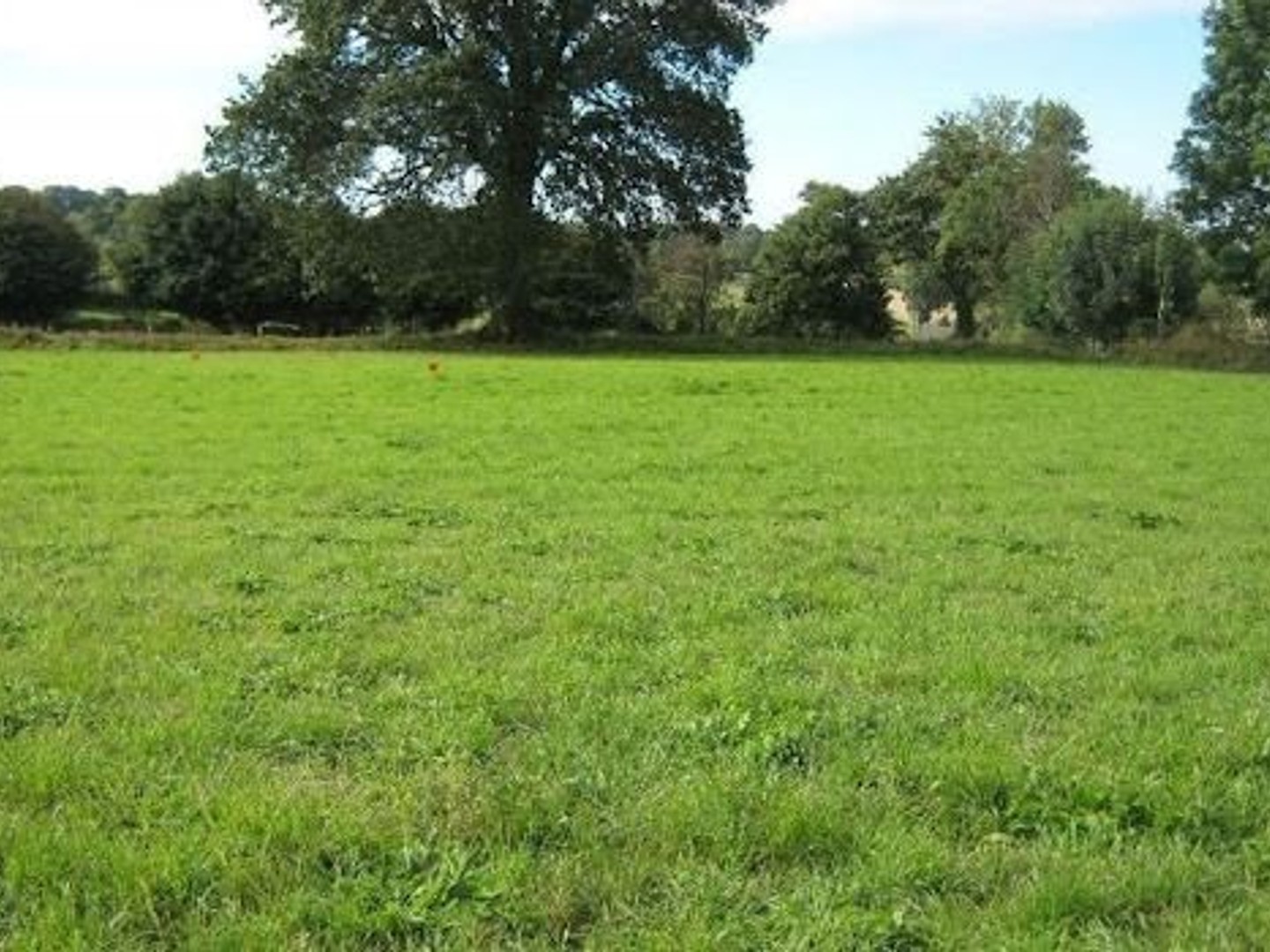 Terrain 474 m²