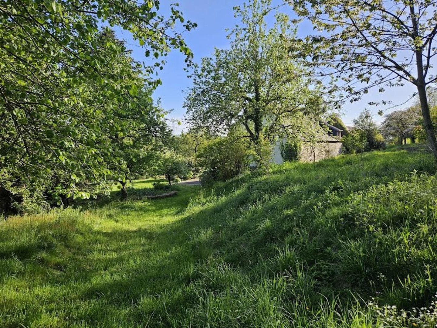 Maison à vendre - 6 pièces - 152m2 - Notre-Dame-De-Livoye (50370)
