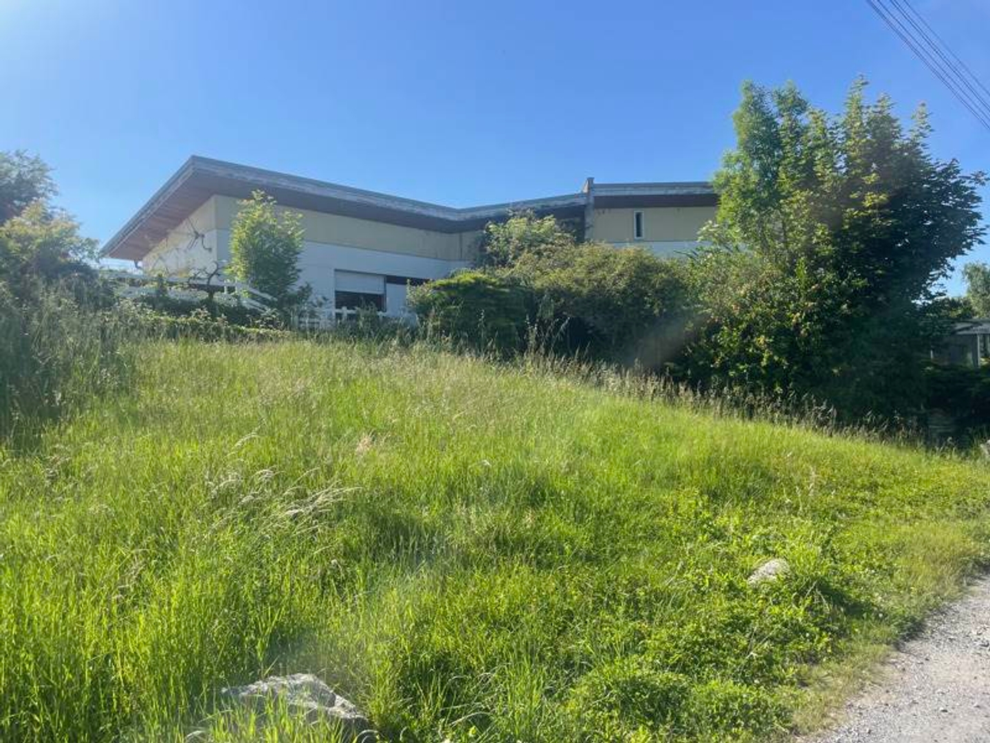 Local 870 m²