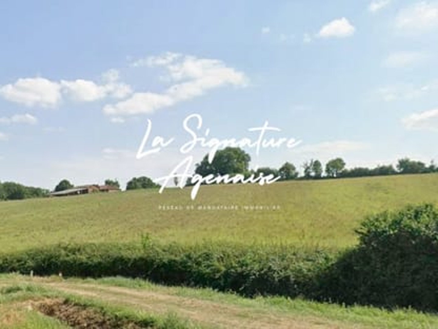 Terrain 70000 m²