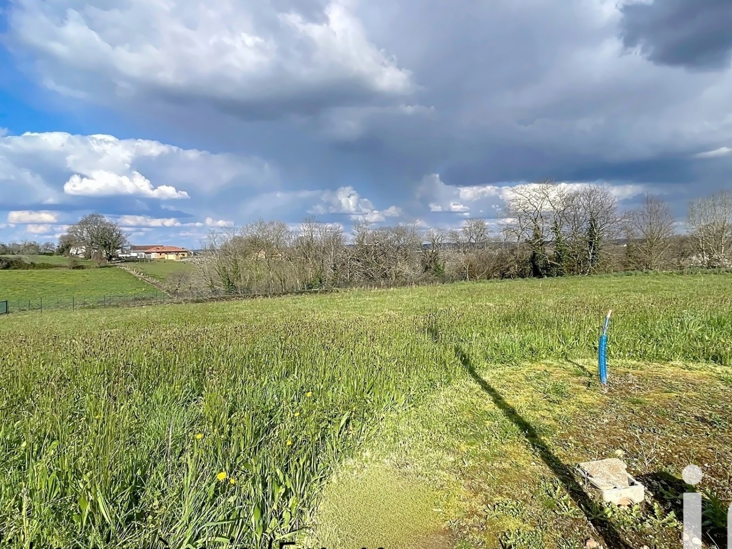 Terrain 976 m²