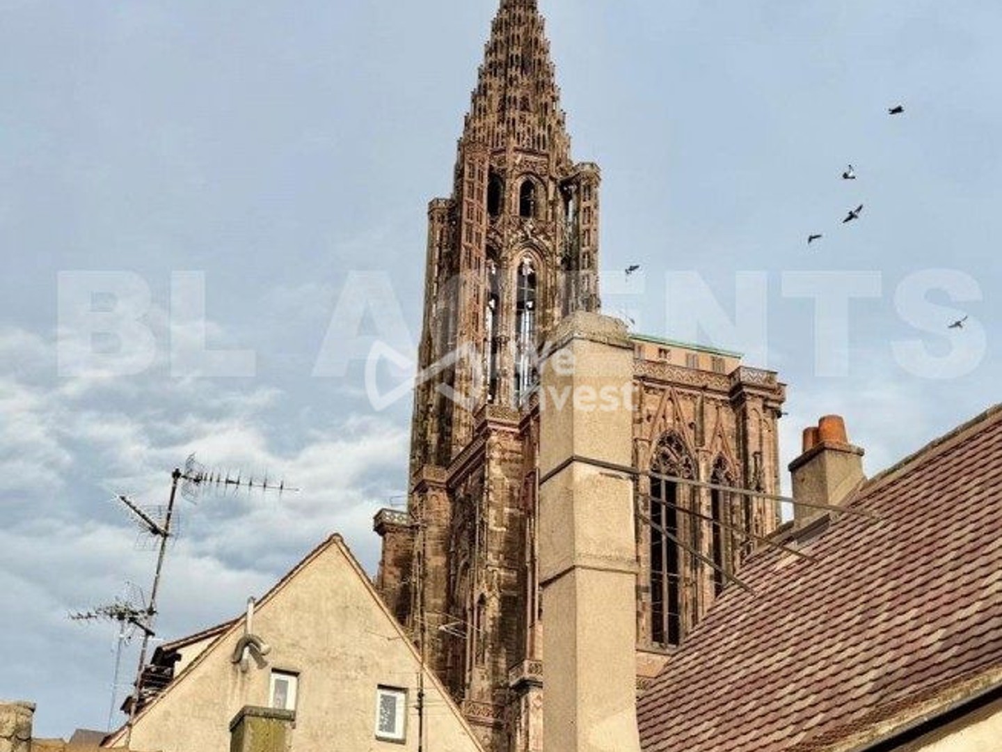 Appartement 4 pièces 59 m²