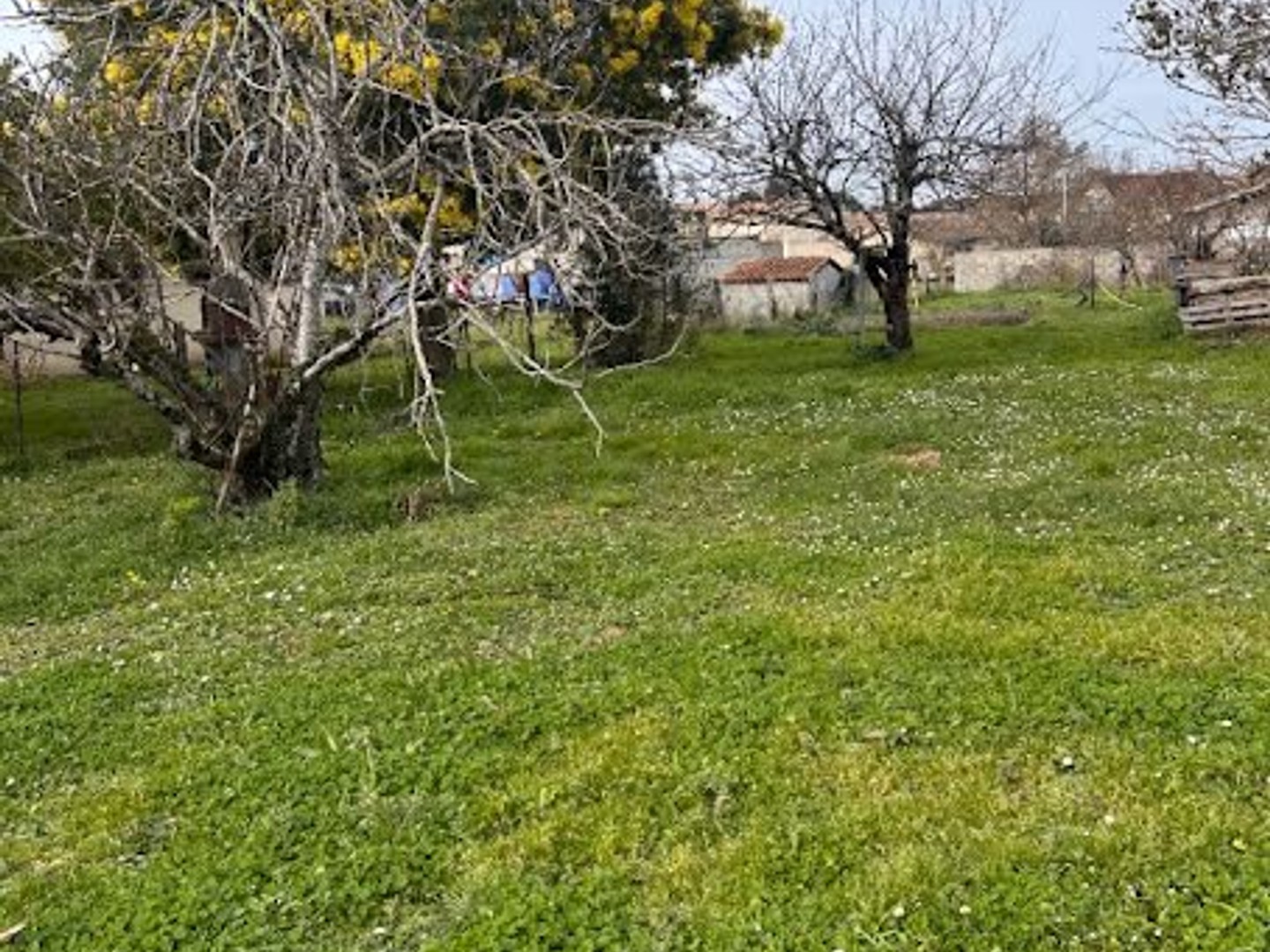 Maison 6 pièces 100 m²