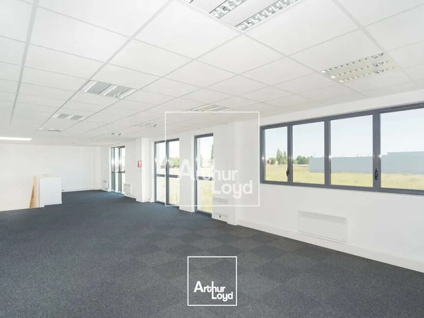 Locaux à vendre - 580m2 - Lieusaint (77127)