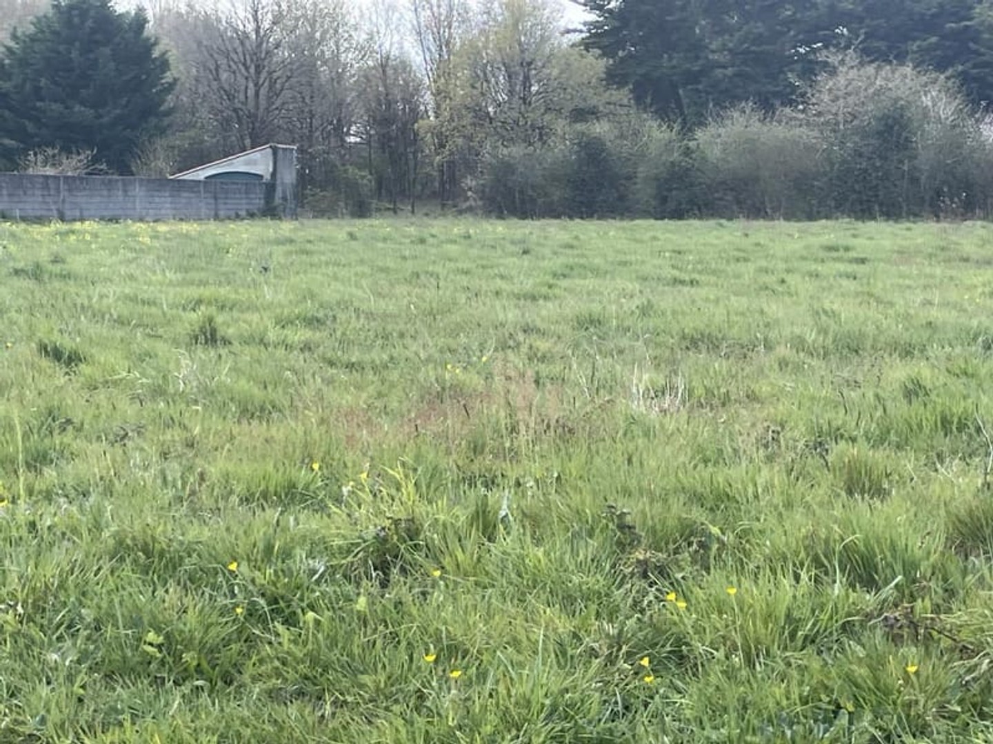 Terrain 445 m² - SAINT AIGNAN GRANDLIEU