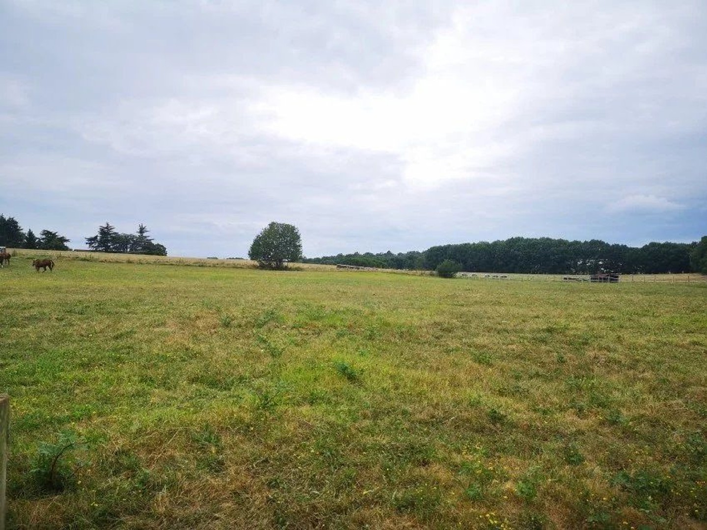 Terrain 2409 m²