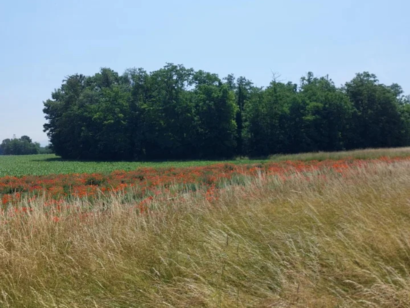 Terrain 367 m²