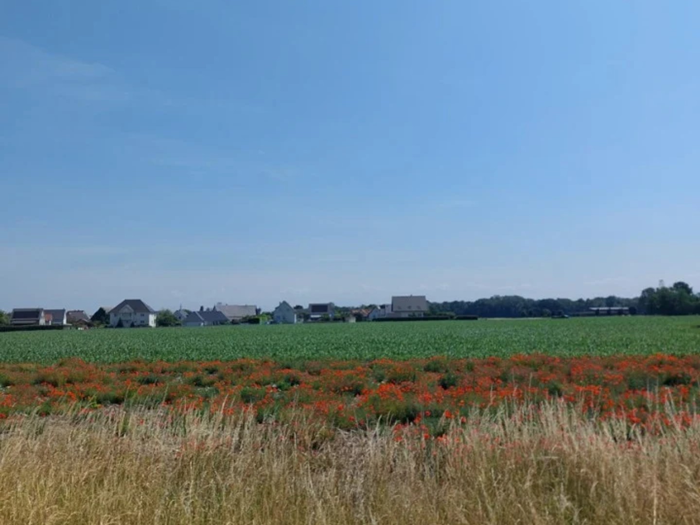 Terrain à vendre - 367m2 - Algolsheim (68600)