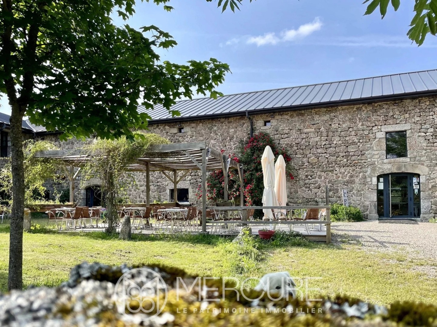 SPACIEUSE PROPRIETE AVEC DEPENDANCES