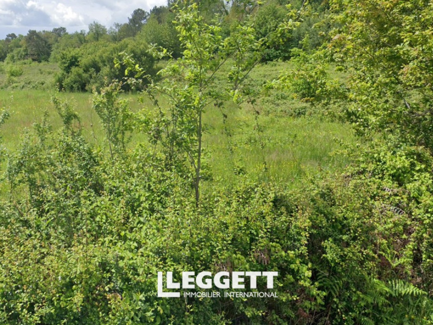 terrain NaN pièce(s), EYGURANDE-ET-GARDEDEUIL