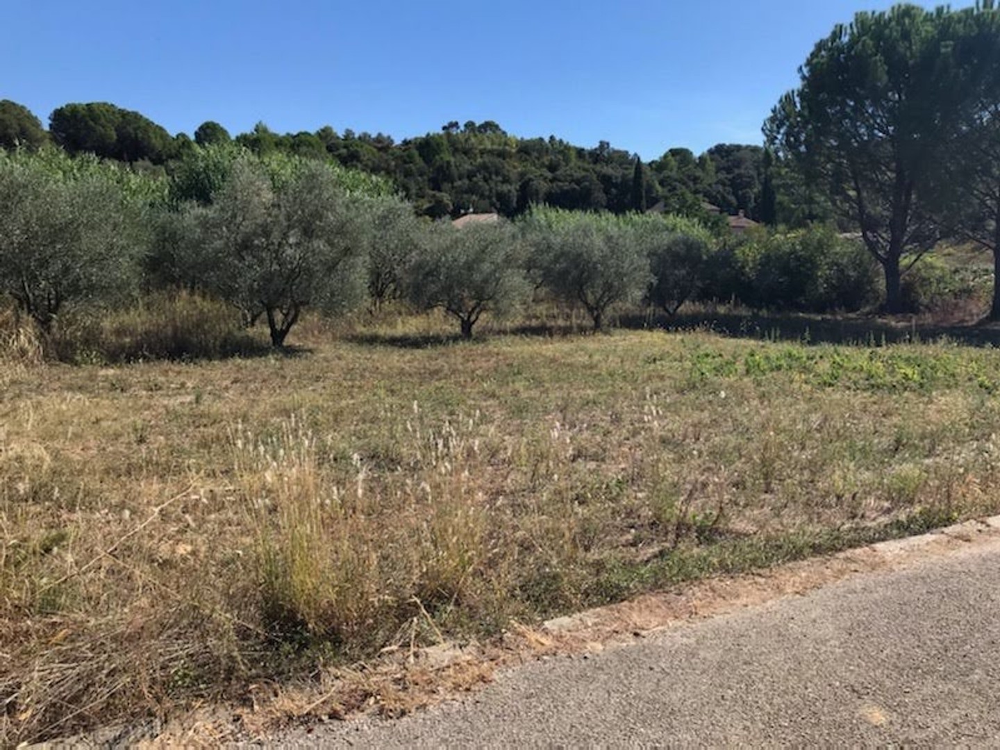 Terrain 481 m²