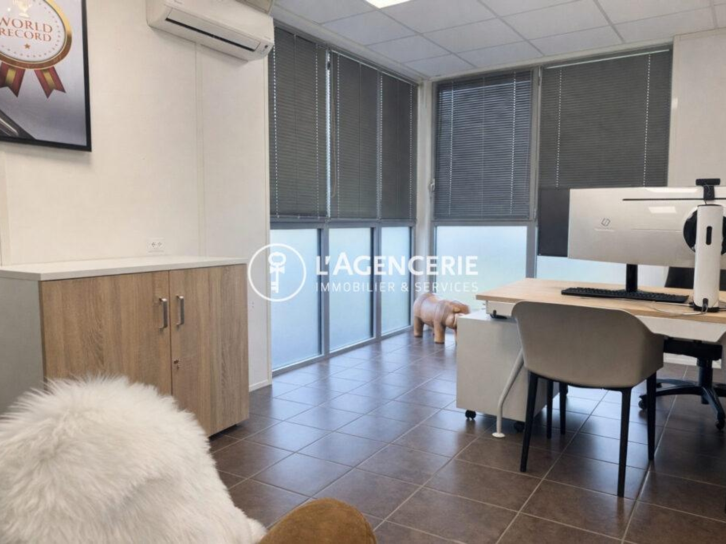 Locaux à vendre - 650m2 - Terssac (81150)