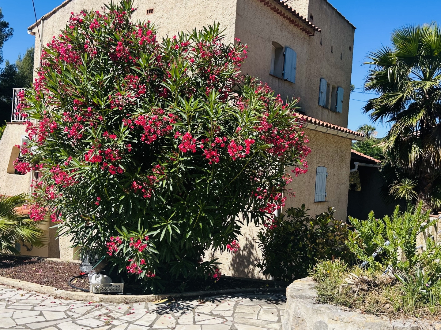 Maison à vendre - 6 pièces - 100m2 - La Valette-Du-Var (83160)