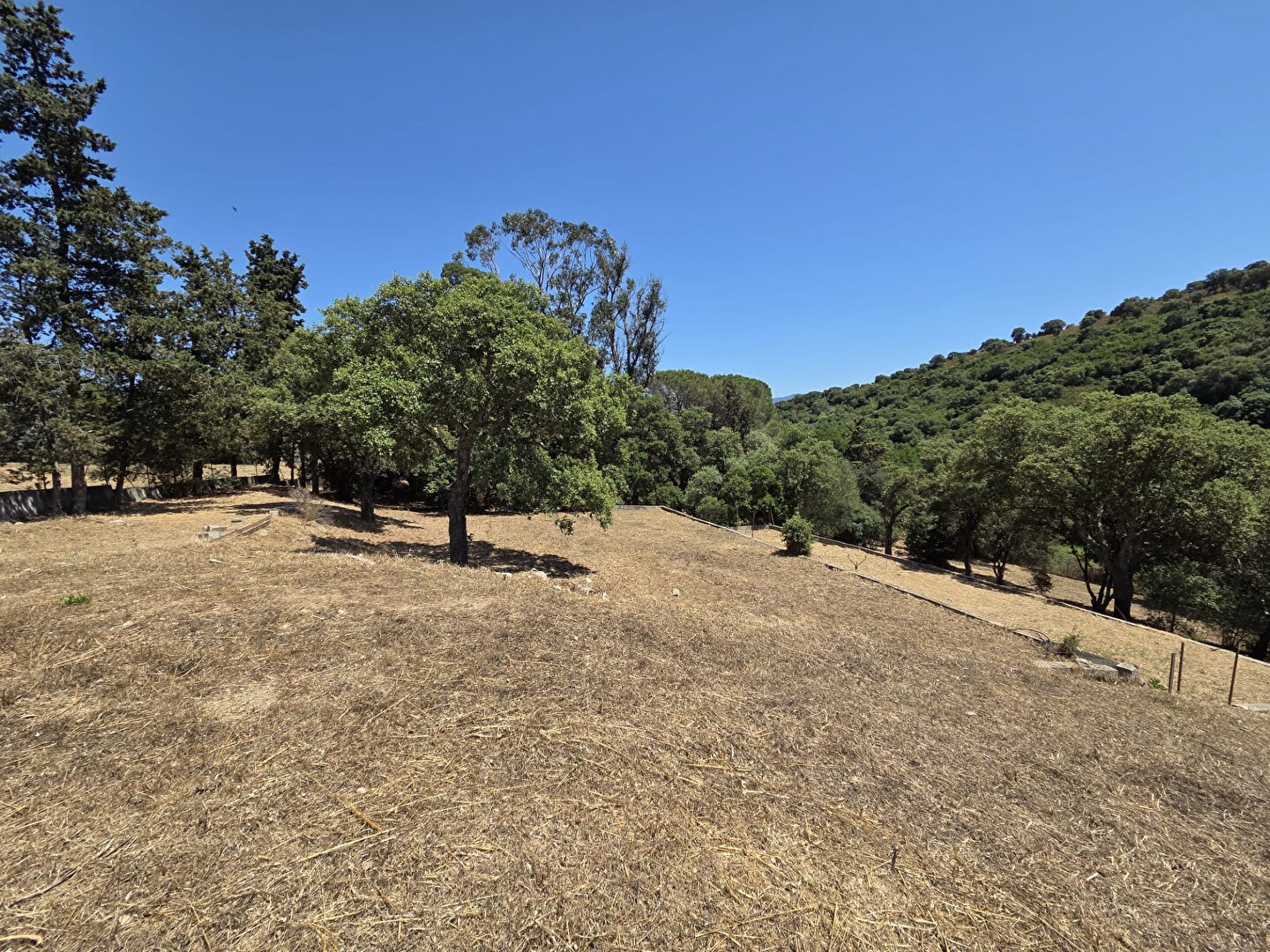 Terrain 2142 m²