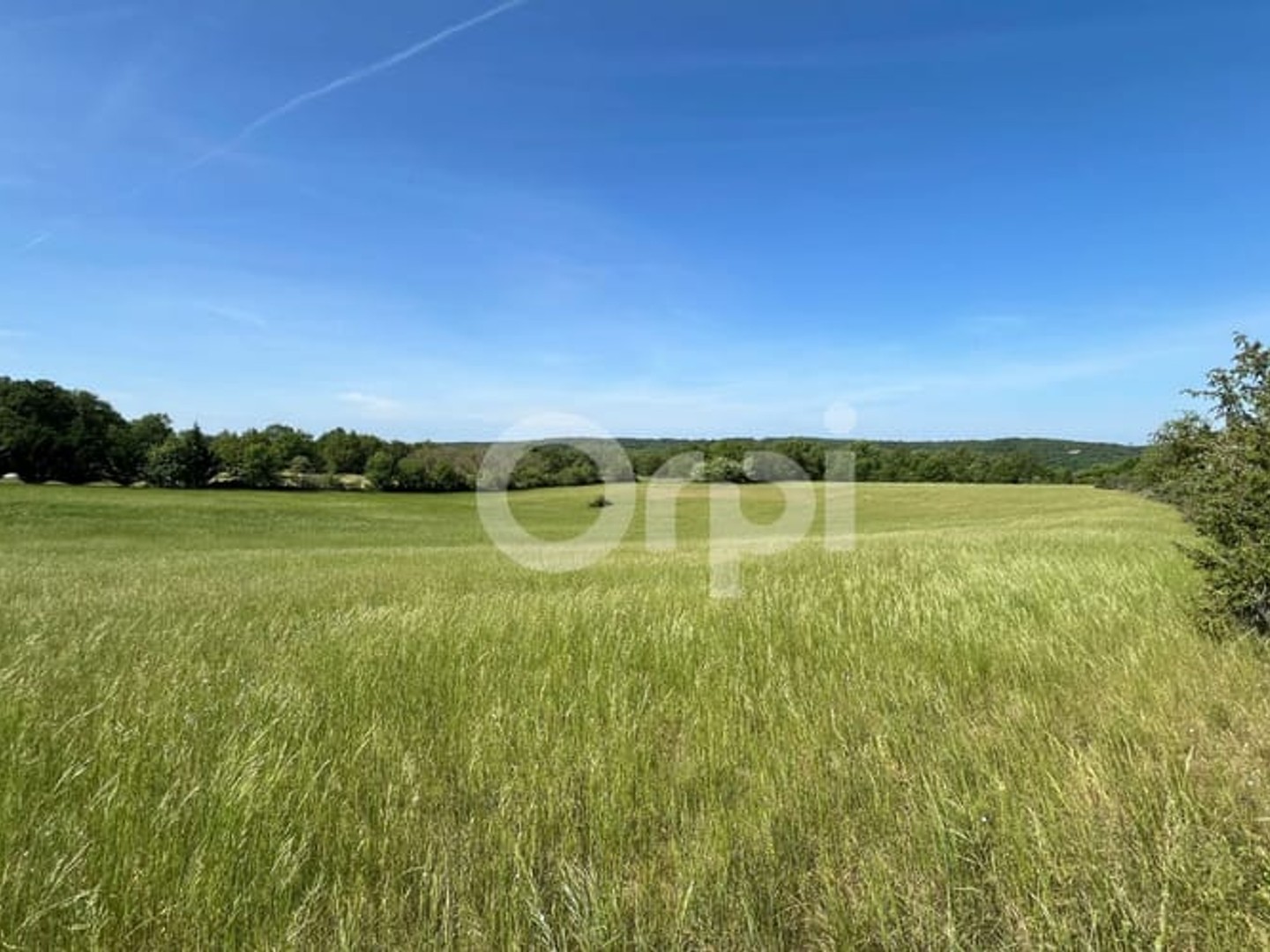 Terrain 2540 m²