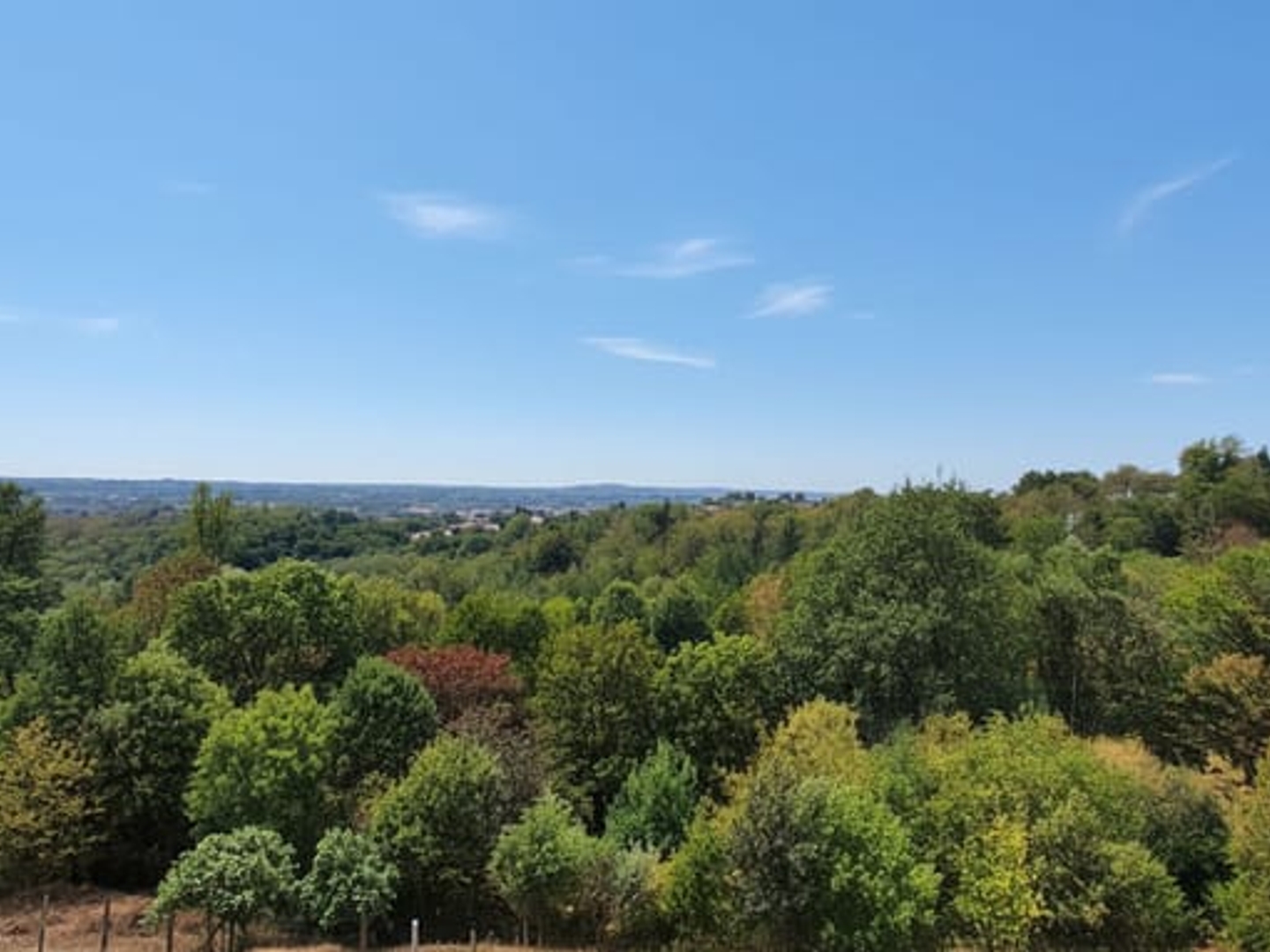 Maison à vendre - 9 pièces - 290m2 - Malemort (19360)