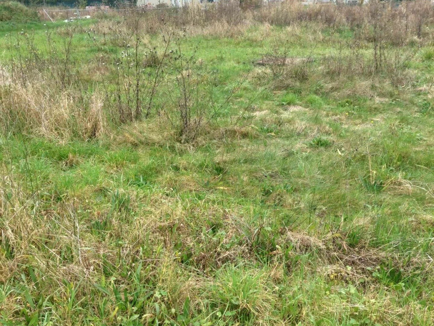 terrain constructible non viabiliser 2596m² Noyon