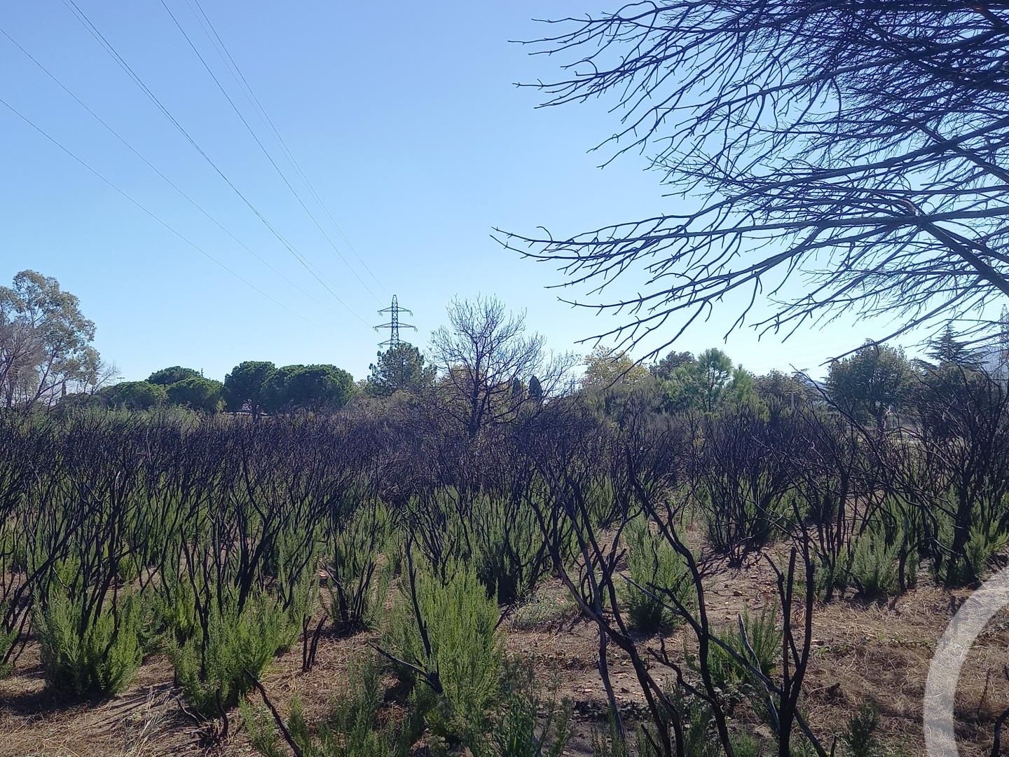 Terrain 3720 m²