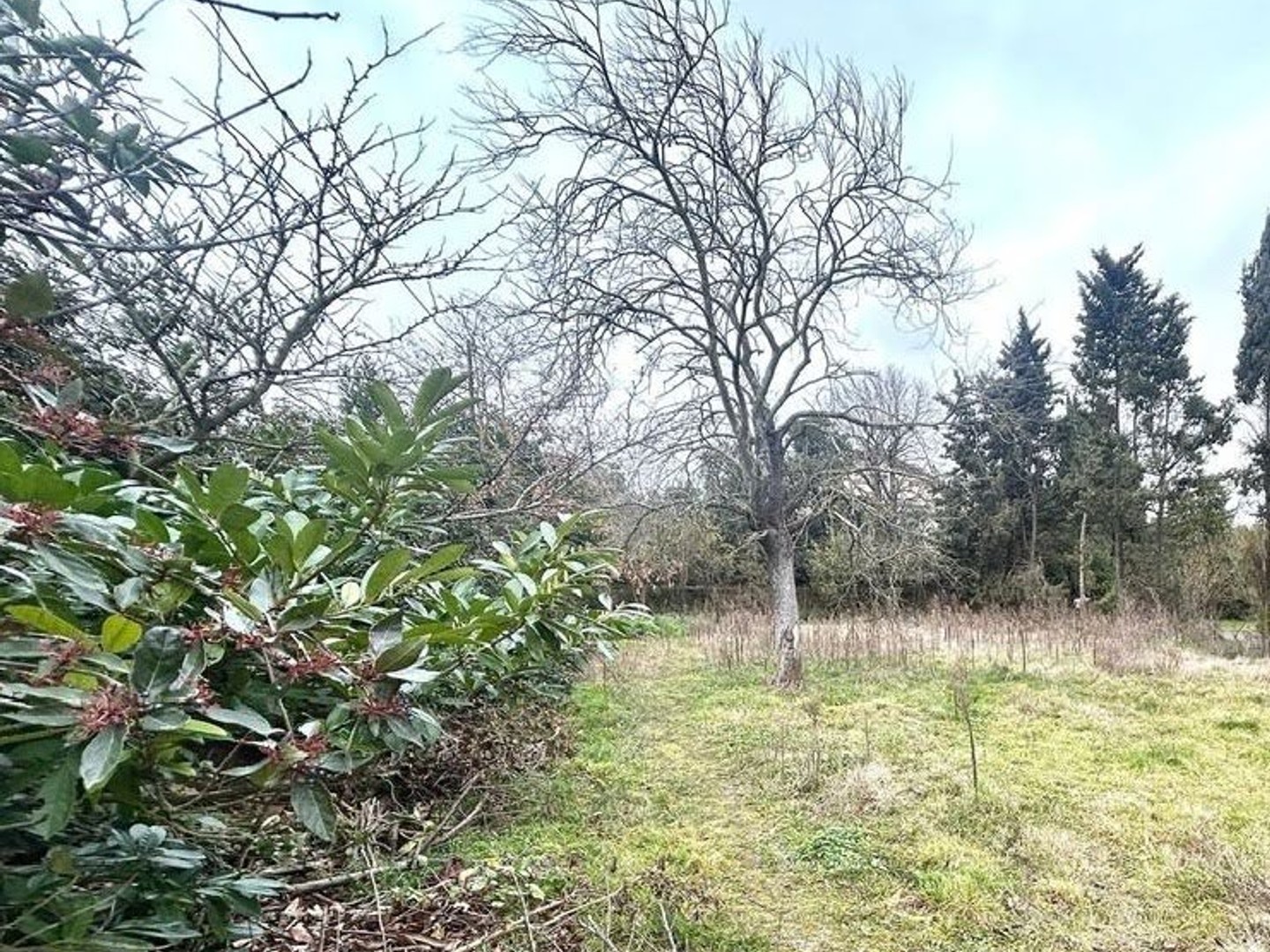 Maison 4 pièces 89 m²