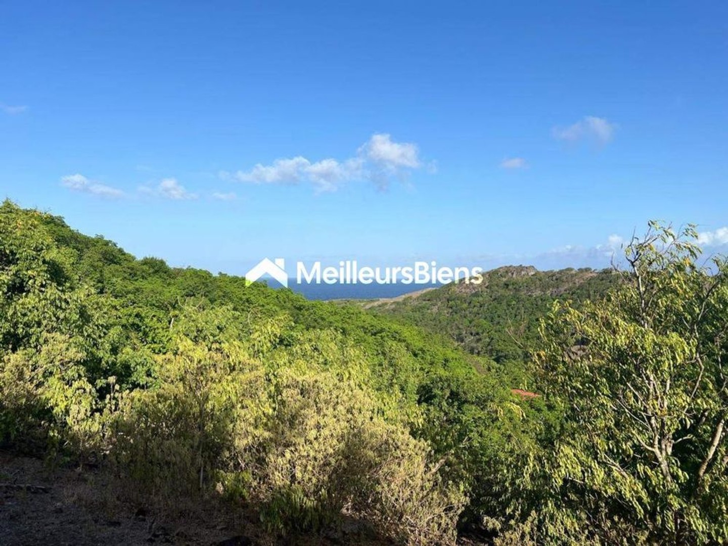 A VENDRE 4 MAGNIFIQUES TERRAINS VUE MER ET MONTAGNES A TERRE DE HAUT LES SAINTES