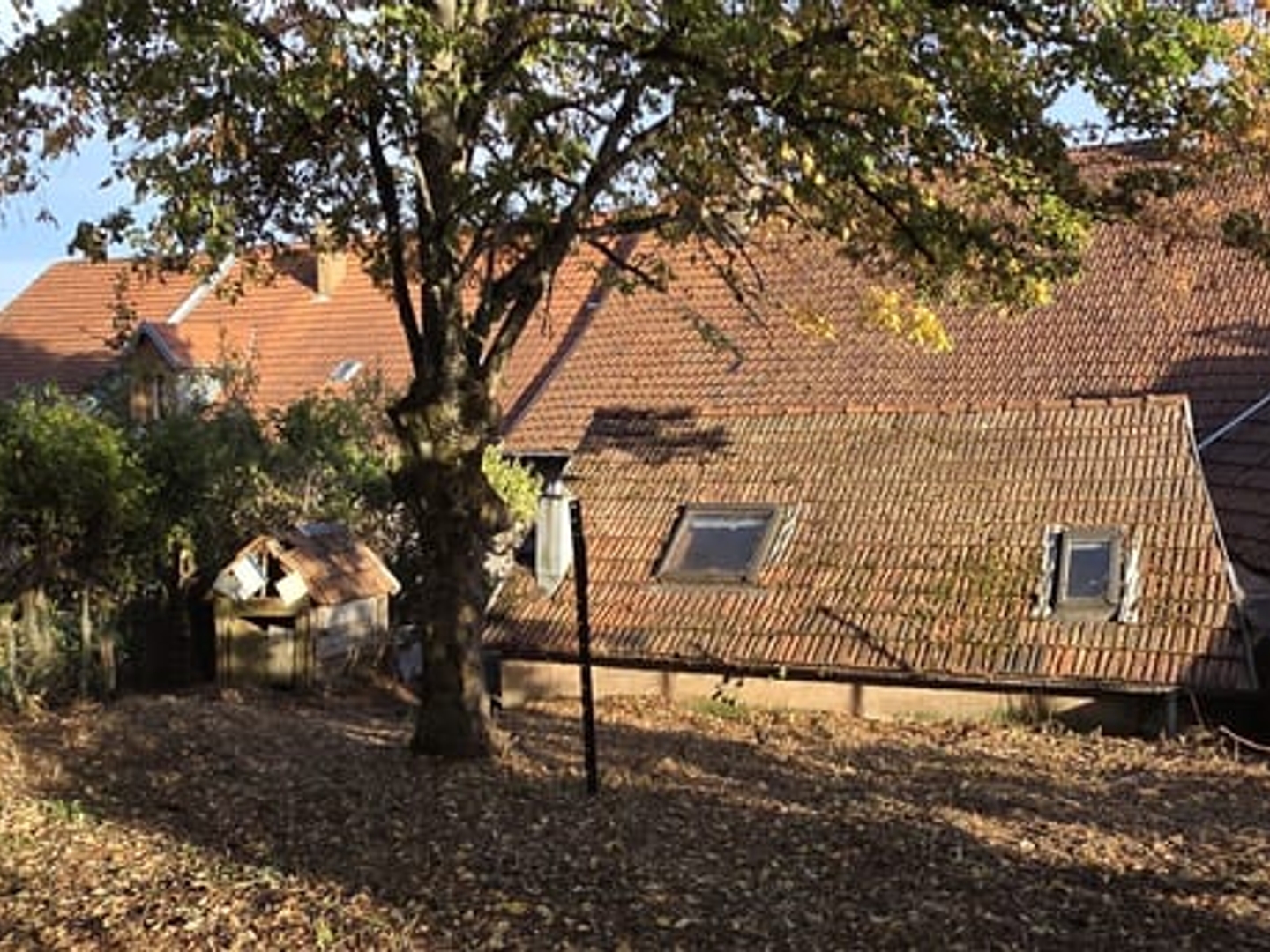 Maison à vendre - 7 pièces - 177m2 - Saales (67420)