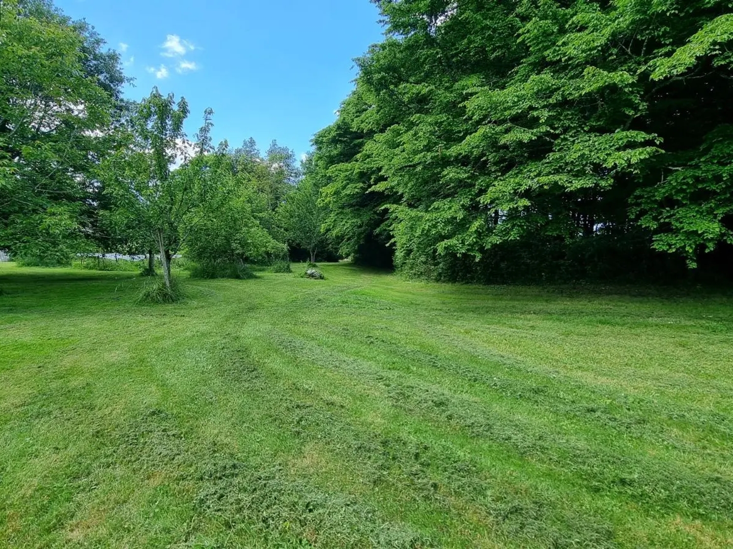 Maison à vendre - 5 pièces - 100m2 - Jonzac (17500)