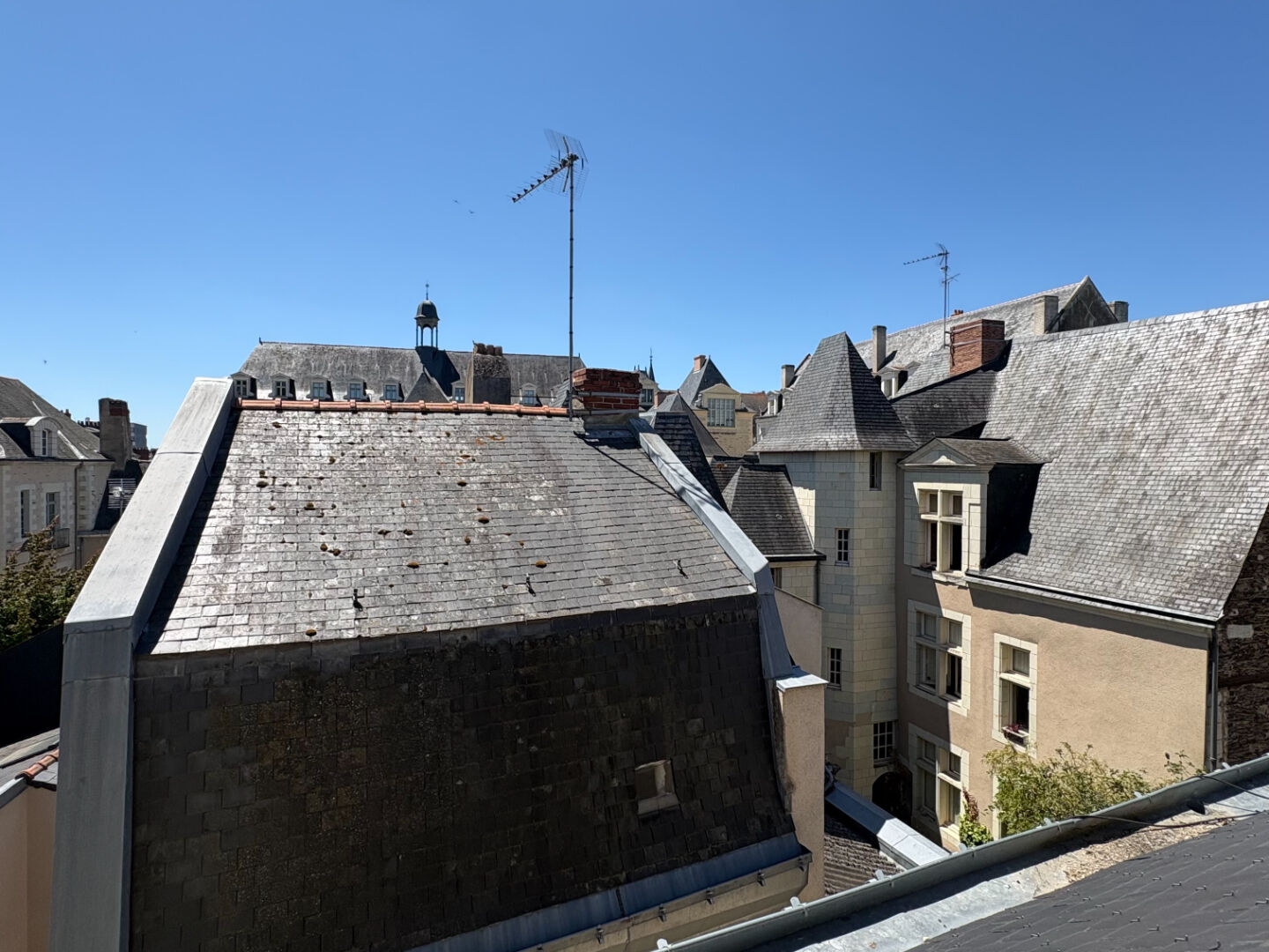 Appartement T1 calme et lumineux à vendre en hyper centre d'Angers