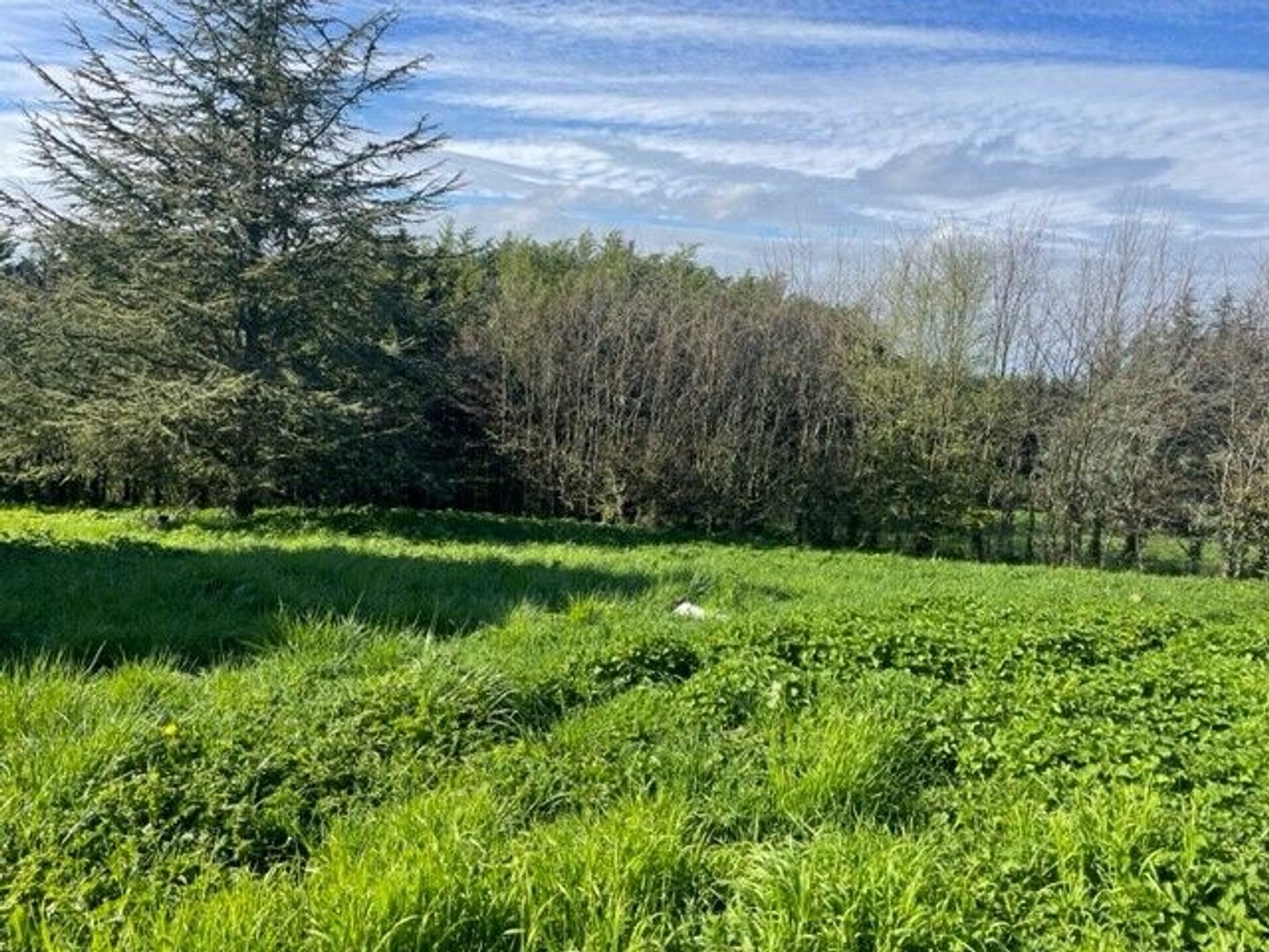 VILLERS SUR LE ROULE/AUBEVOYE - Terrain à bâtir - 824m²