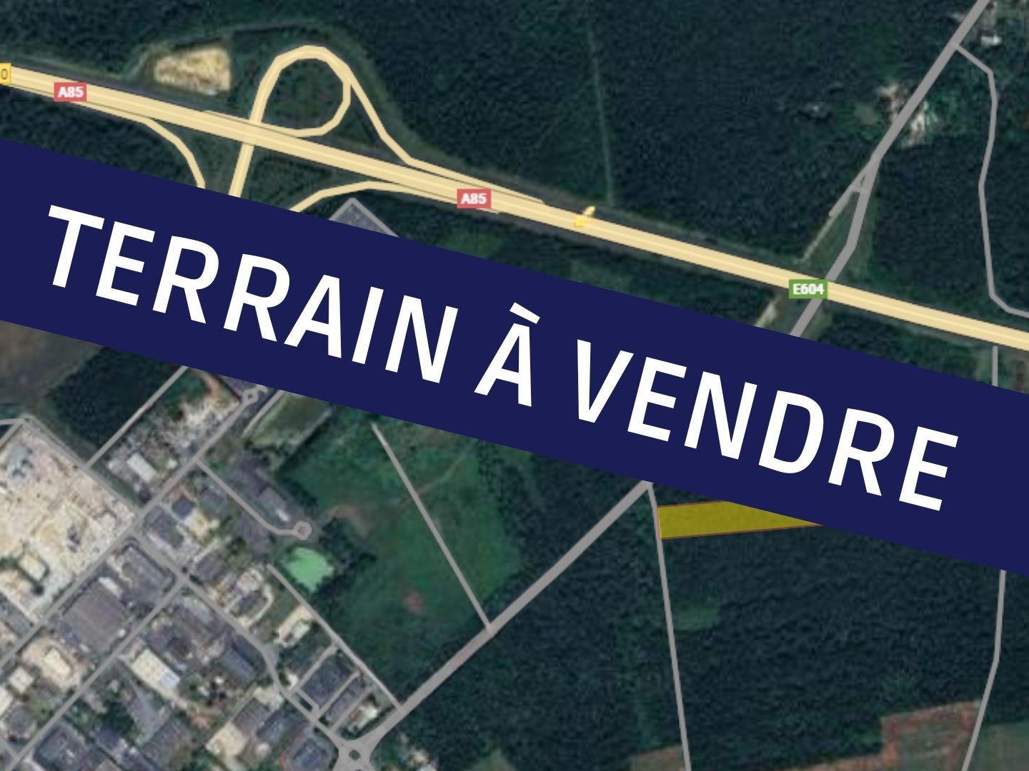 terrain