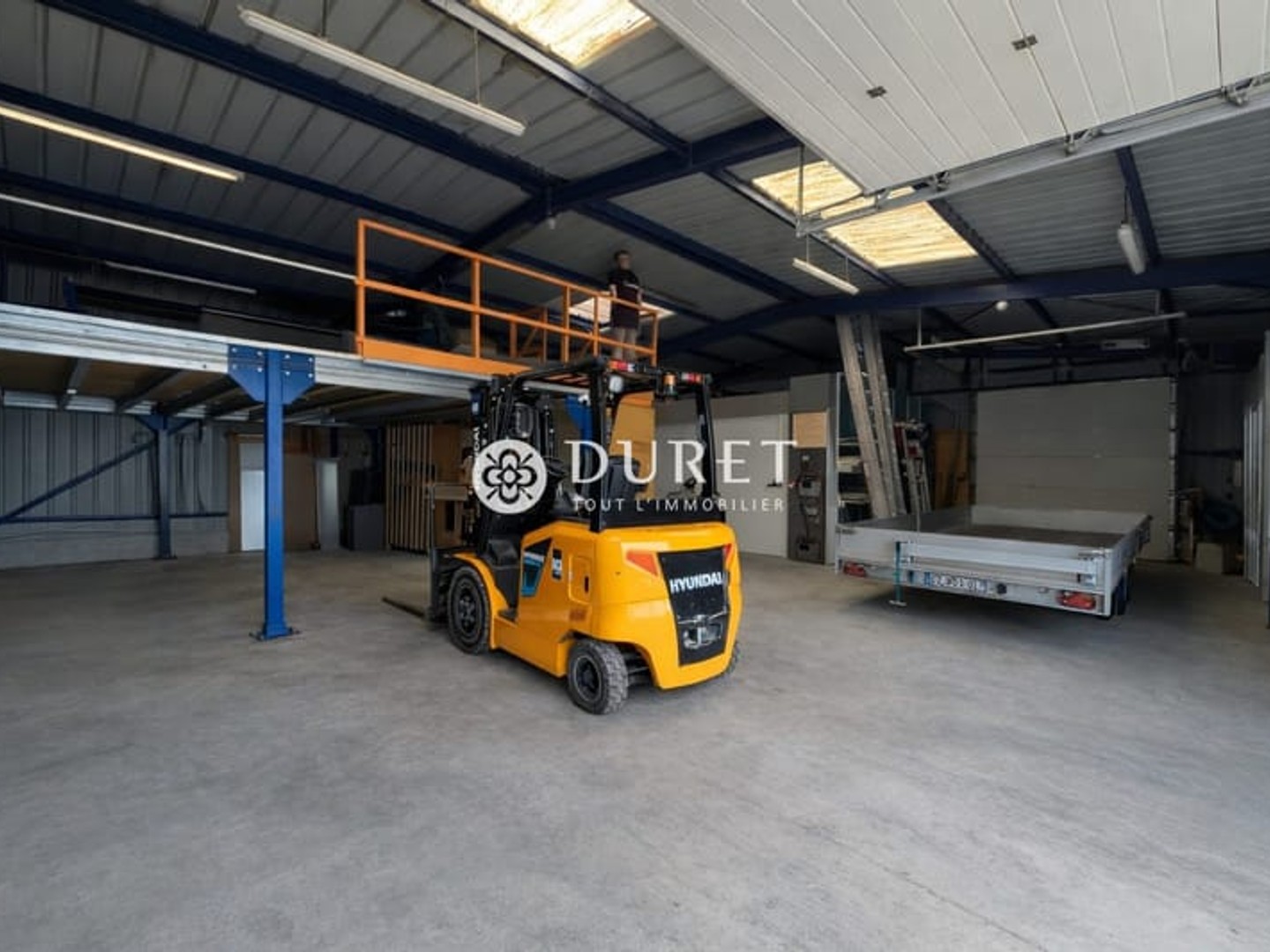 Local commercial 257 m²