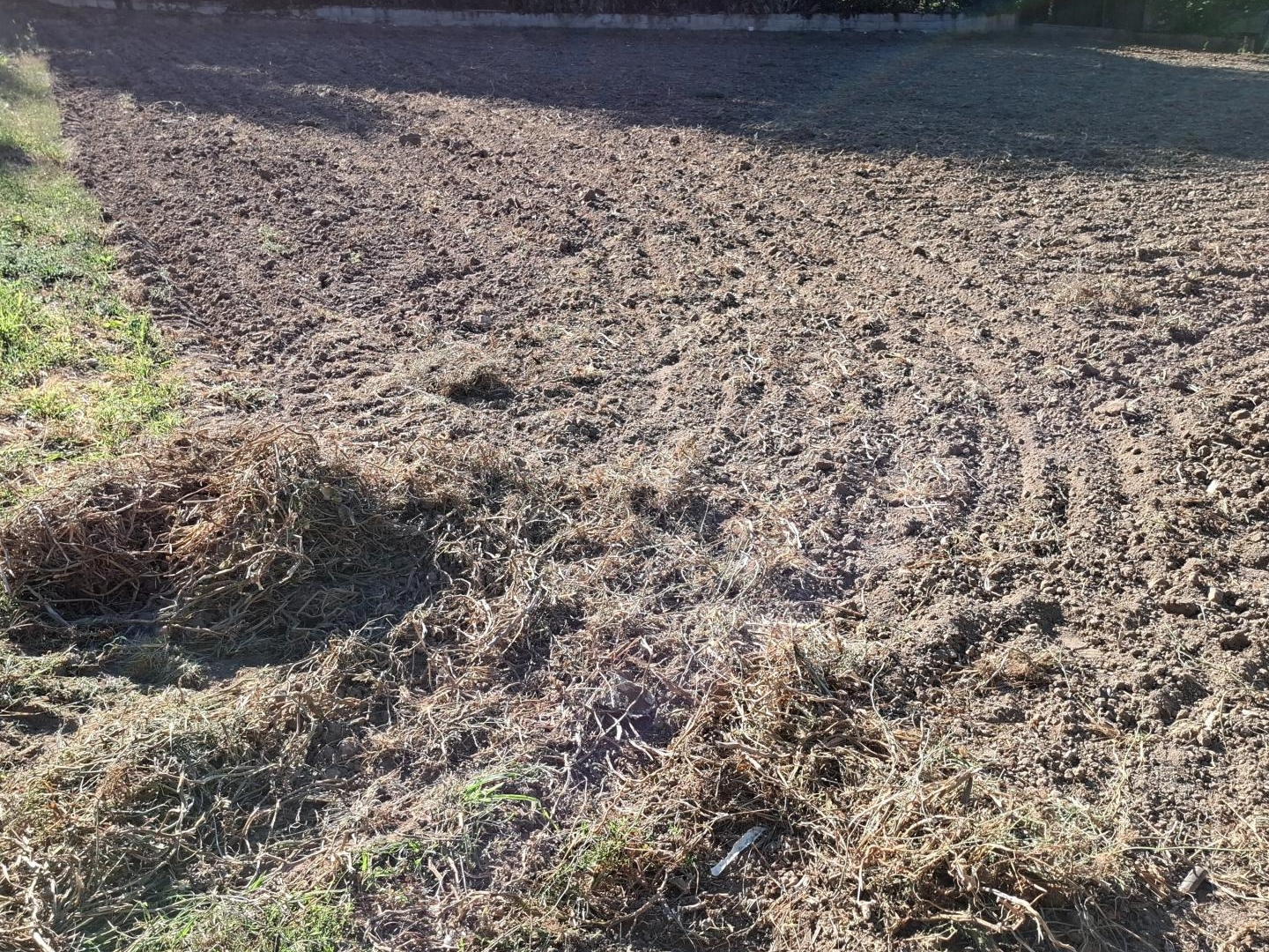 Terrain à vendre - 1118m2 - Aiguefonde (81200)