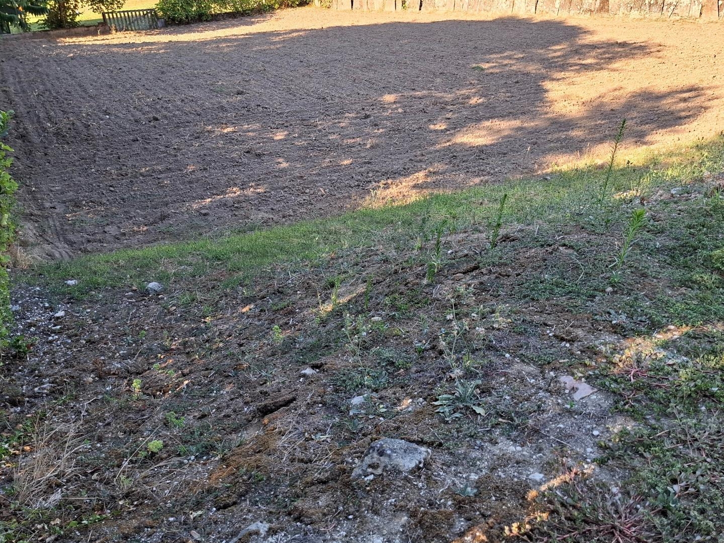 Terrain à vendre - 1118m2 - Aiguefonde (81200)