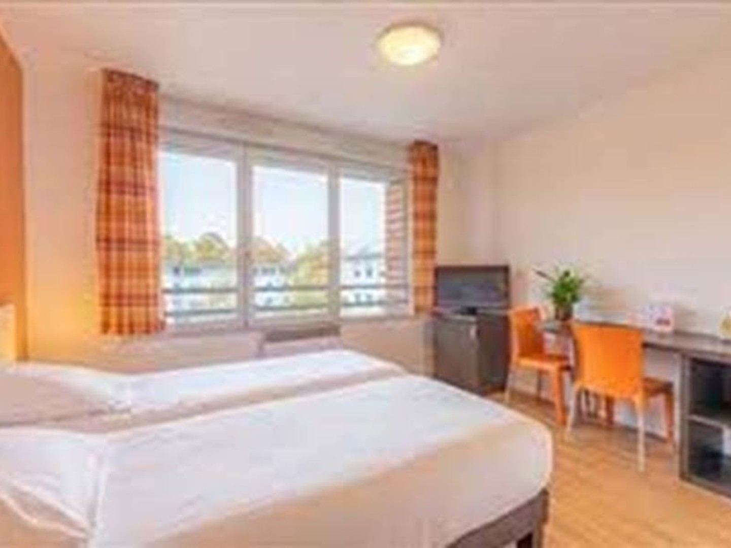 Local 1 pièce 19 m²