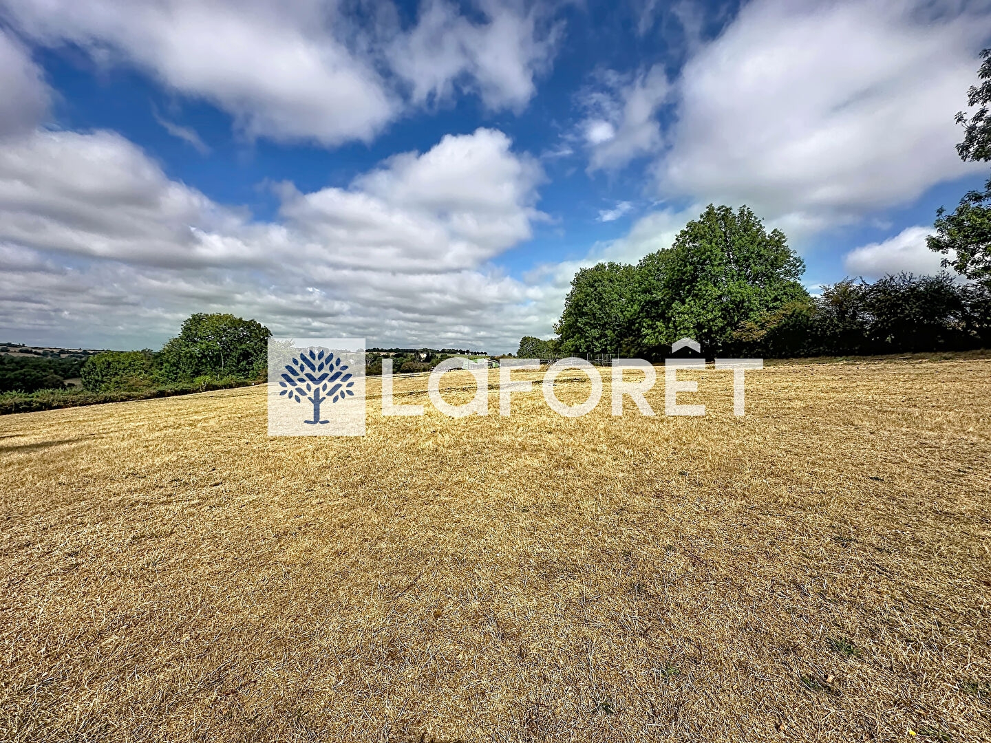 Locaux à vendre - 3 pièces - 700m2 - Saint-Paul-En-Gâtine (79240)