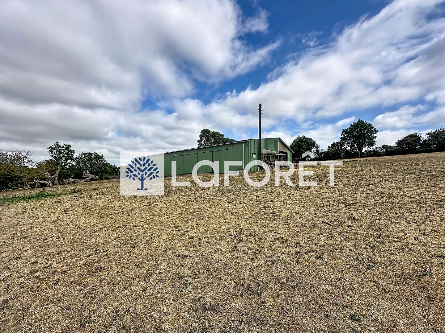 Locaux à vendre - 3 pièces - 700m2 - Saint-Paul-En-Gâtine (79240)