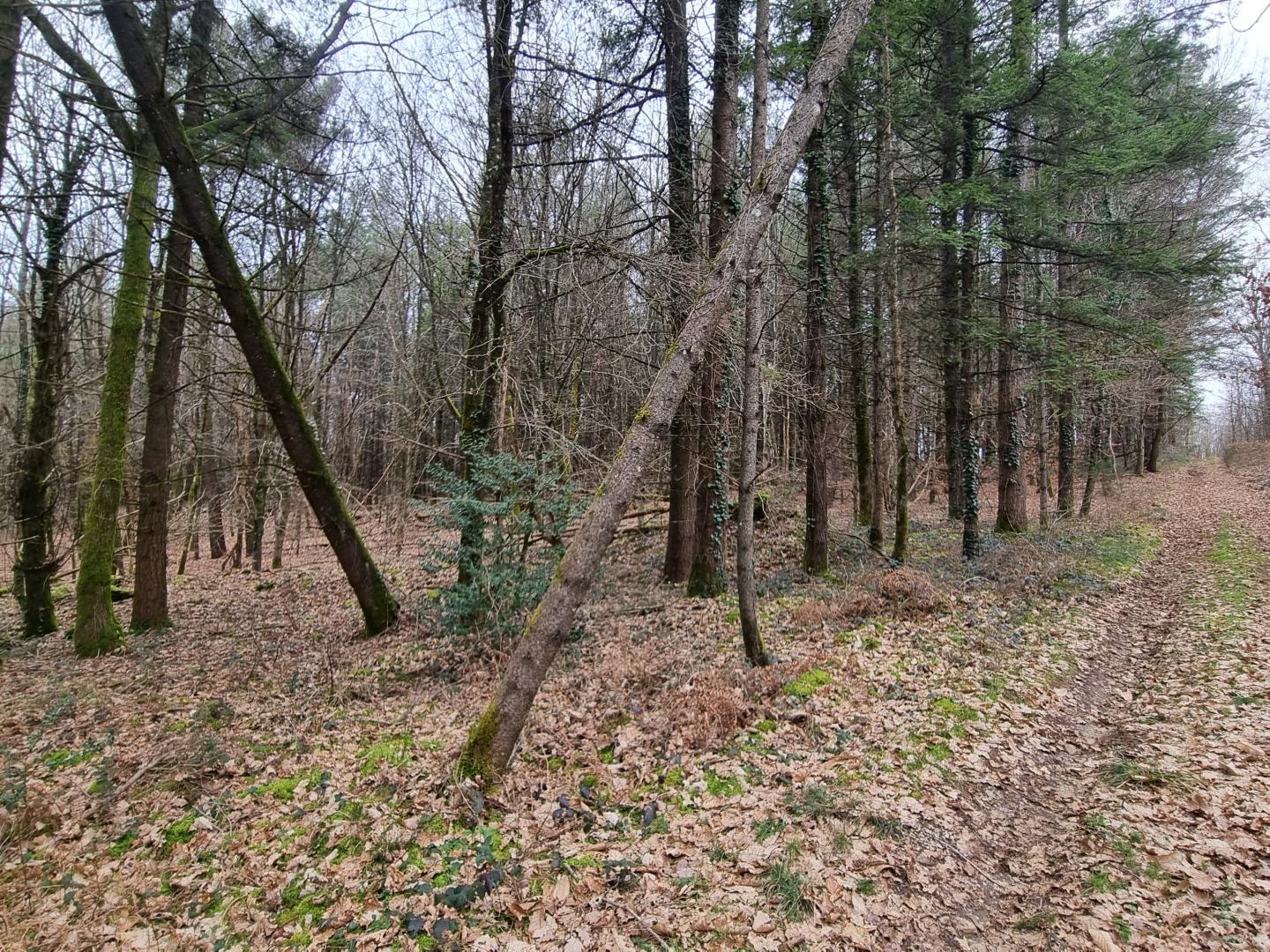 18 hectares d'un seul tenant