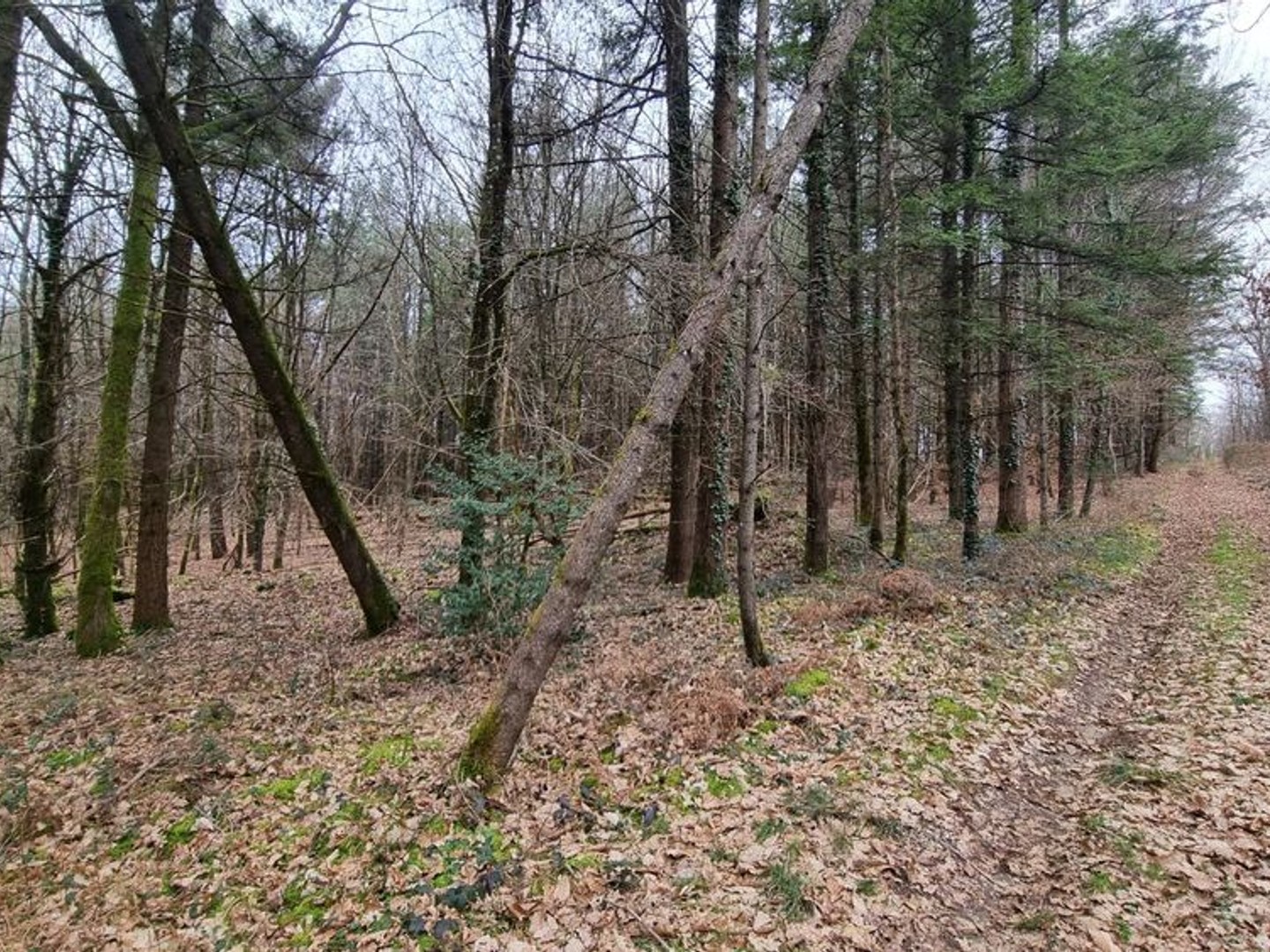 18 hectares d'un seul tenant