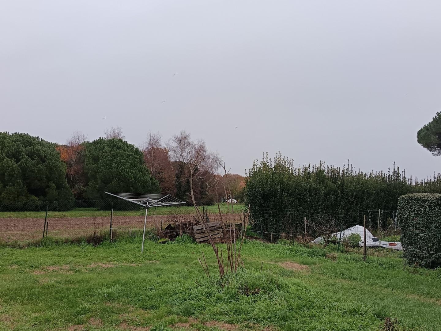 Maison à vendre - 4 pièces - 85m2 - Étaules (17750)