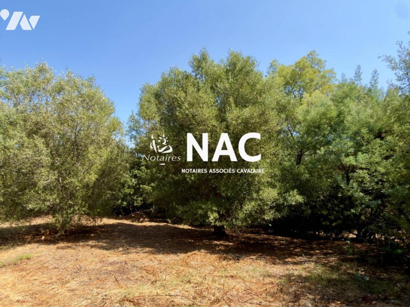 Terrain 1230 m²