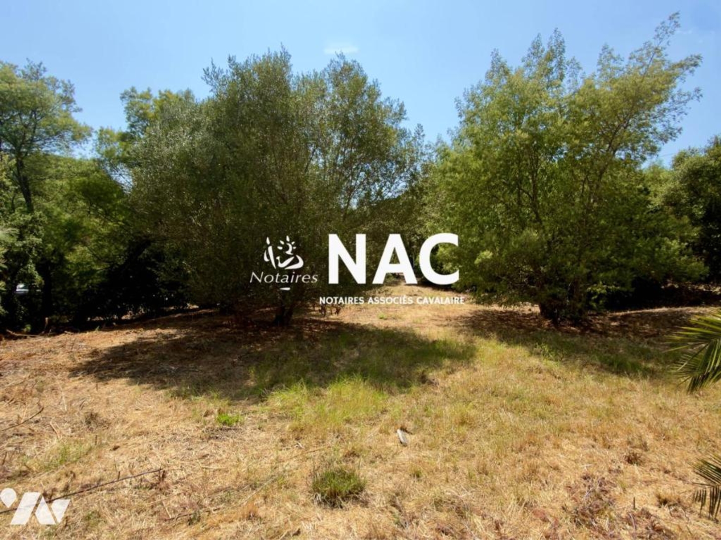 Terrain à vendre - 1230m2 - Cavalaire-Sur-Mer (83240)