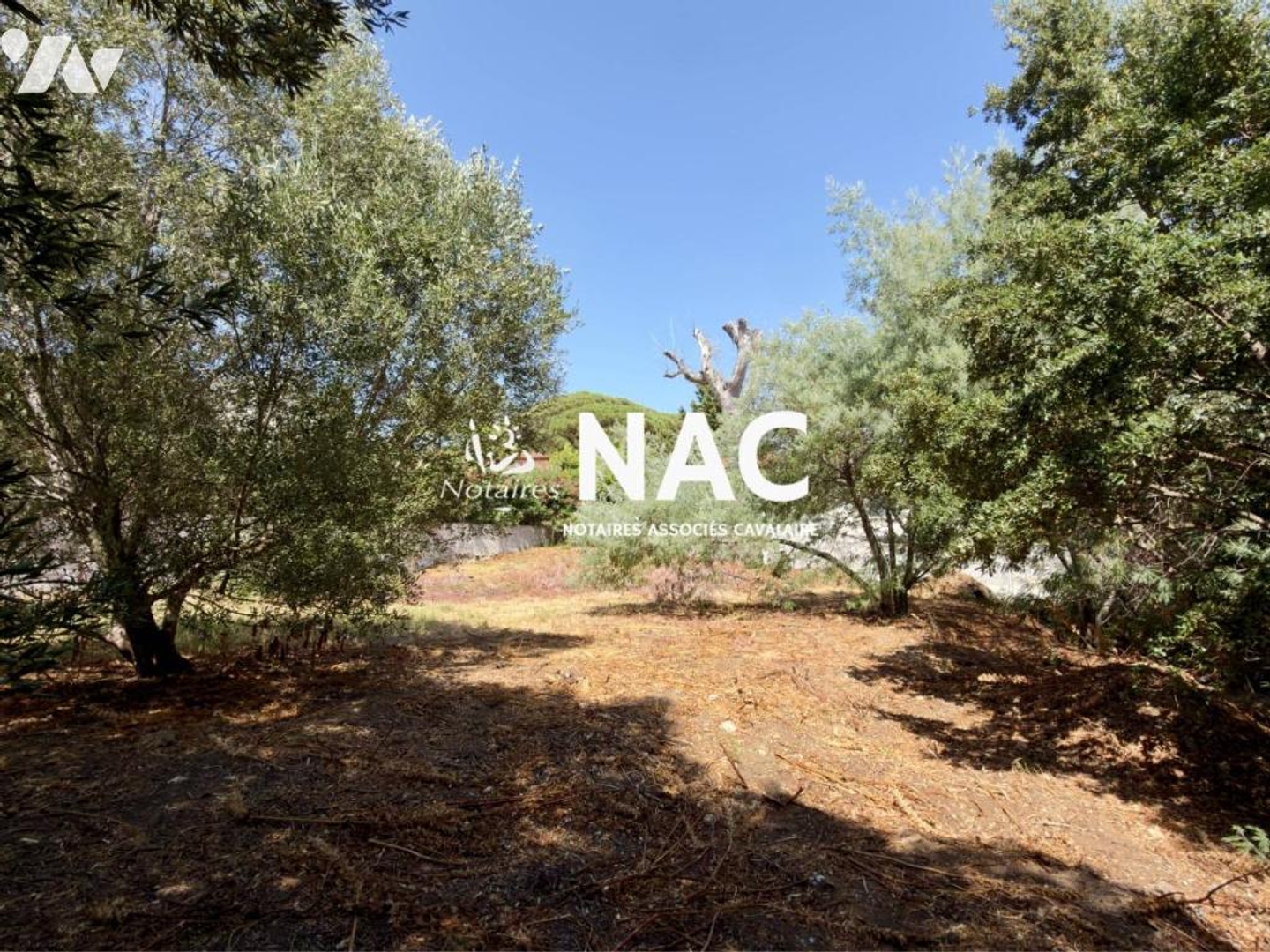 Terrain à vendre - 1230m2 - Cavalaire-Sur-Mer (83240)