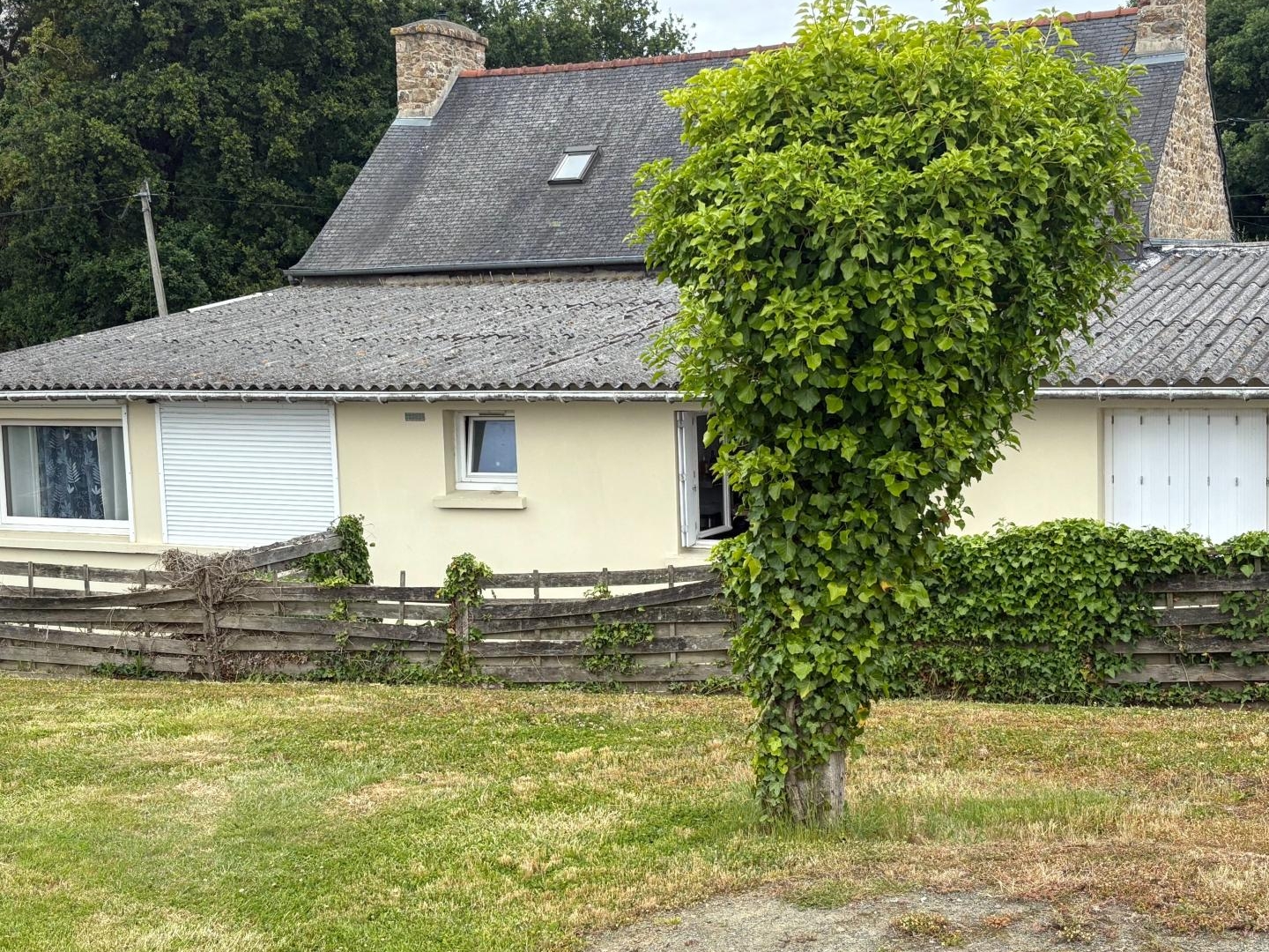 Bien rare avec un incroyable potentiel d'évolution